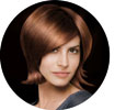 SH 5 ESW icon aussenwelle
