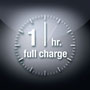 799cc Icon Akkuladung