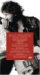 <a href=B000BJS4OY.html>Born To Run: 30th Anniversary 3-Disc Set (CD/2DVD)</a>