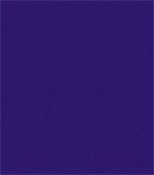 Cardstock 12''x12'' Bazzill 50/Pkg-Pansy