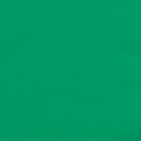 Green Beverage Napkin 50 Pack