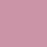 Styli-Style Lip Innovations Lip Stains 24 - Siene (nude)