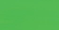 Prism Fluorescent Tempera Paint 8 Oz. Bottle: Green