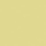 Savage Seamless Background Paper, 107
