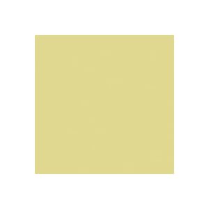 Click here to buy 107 x 12yds Background Paper (#23 Sea Green).