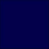 Andrew Christian Stripe Swim Shorts (7108) 30/Navy