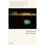 Rock Springs (Harvill Panther)