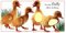 Baby Animals (DK Touch & Feel)