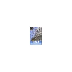 USA (Let's Go)