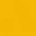 Procion 2/3oz 010 Golden Yellow