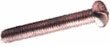 2"x 5/16" One-Way "Vandal Proof" Bolt