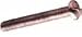 2"x 5/16" One-Way "Vandal Proof" Bolt