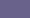 wild orchid