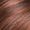 CAMERON Wig #2362 by Rene of Paris plus a FREE Revlon Wig Lift Comb! (Color Selected: CHESTNUT)