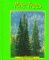 Books : Pine Trees (Trees) (Pebble Books)