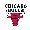 Chicago Bulls