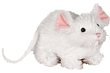 Lil'Kinz Mini Plush...