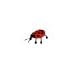 Hog Wild Bug Benders, Lady Bug