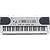 Yamaha YPT300 Portable Keyboard