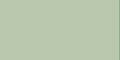 Poly X 40 Embroidery Machine Thread #962 Silver Green Color