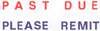 Xstamper Two-color Stamp - Past Due Please Remit
