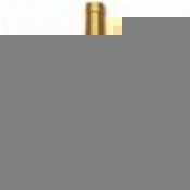 Torani CLASSIC Caramel Syrup 750mL