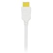 HDMI Cable 4.9 ft RP-CDHG15