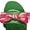 Grass Green w/ Fish Grosgrain Ribbon