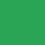 Rosco Roscolux Moss Green, 20