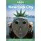 New York City (Lonely Planet City Guide)
