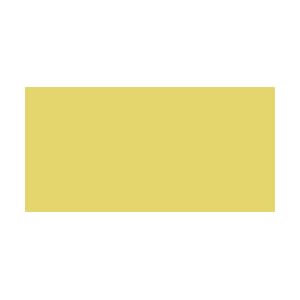 Rit-Dye-Liquid-8-Ounces-Lemon-Yellow-8-1-3-Items-Order