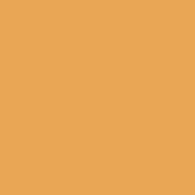 Lee 205 Half CTO 1/2 Orange Gel Filter Sheet 20"x24"