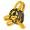 Black/Gold