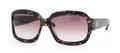 Kate Spade Sunglasses CARLA S JJM (Y6) Golden Tortoise (Brown Gradient Lens) by