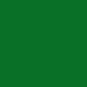 Kelly Green Paper Placemats