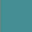 8oz Screen Printing Ink #113 Turquoise