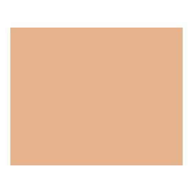 Shiseido Sun Protection Compact Foundation (Refill) SPF 34 PA+++