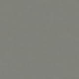 Rosco Cinegel N.6, 20 x 24 0.6 Two Stop Neutral Density Lighting Filter