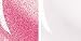 Buy  Tarte Enbrightenment BriteSmile(R) Whitener & Tarte Lipgloss Pearly Pink