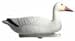 Floating Snow Goose Per 4