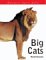 Big Cats (Fact File)