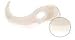Robot Coupe Blade Only Fine Serrated Edge 118292