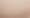 Damask Neutral