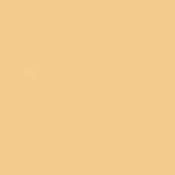 Rosco Roscolux Straw Tint, 20