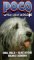 Poco Come Home [VHS]