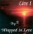 CD-Charts  Search : OVE; Live 1; Wrapped In Love