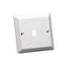 Electronics : Belkin Single RJ45 Faceplate