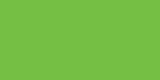 Royal Lace Posterboard 22x28 Neon Green 233-04, 25 Item(s)/Order