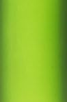 Casmo BPA Free Tritan Wide Mouth Outdoor Sport Camping Portable Travel Unbreakable Drink Water Bottle Cup