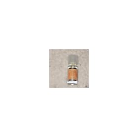 Bath and Body Works 2009 Sweet Cinnamon Pumpkin Home Fragrance Oil (.33 fl. oz. 9.7 ml),...